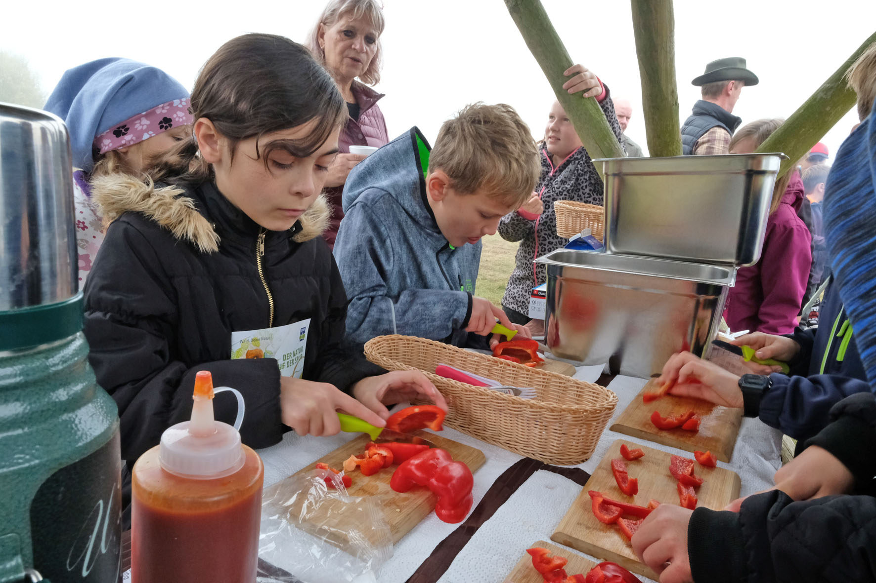 Tier essen aber richtig