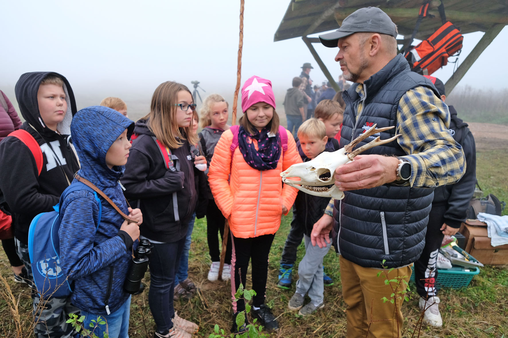 Wildtierkunde - Biologie